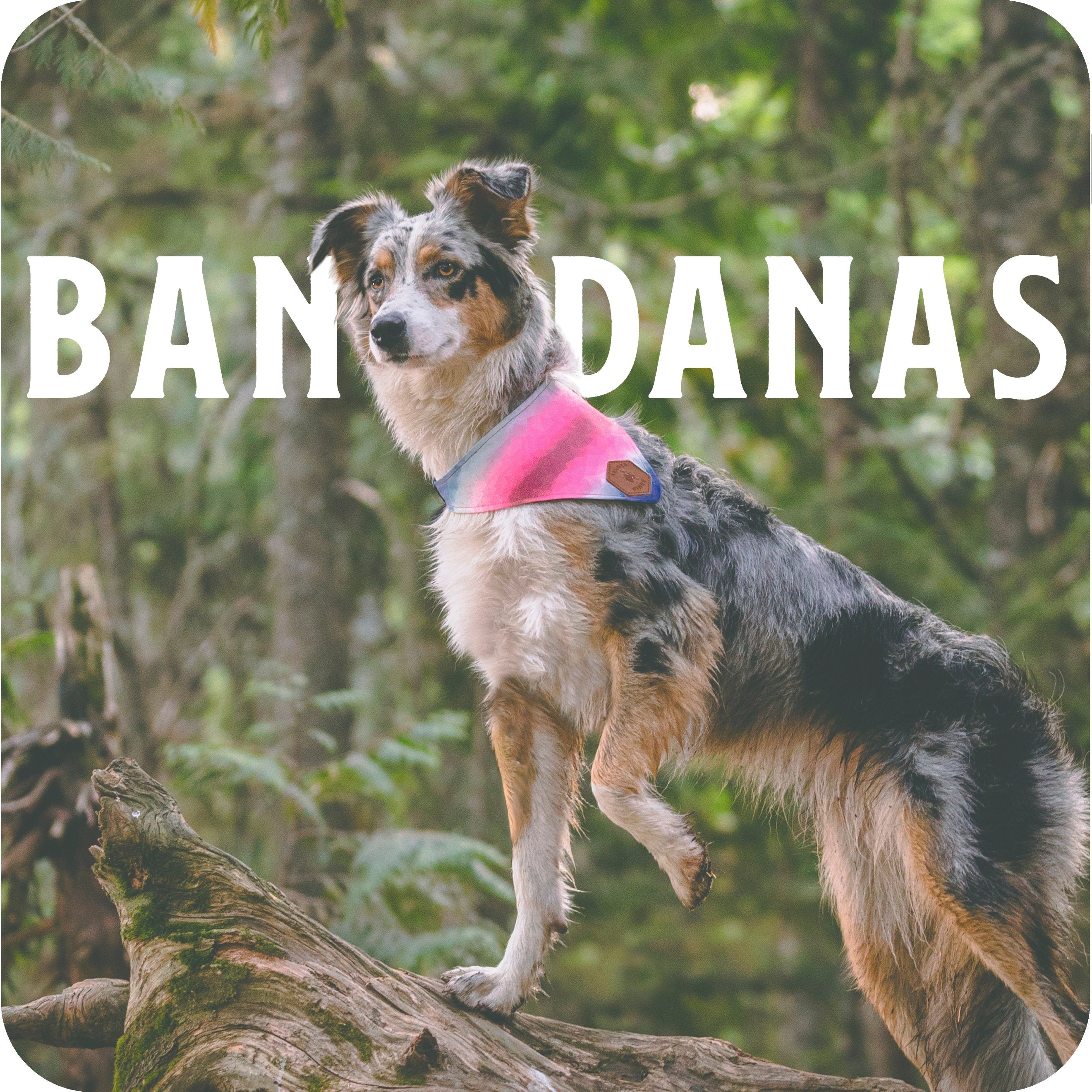 Shattered Cider Slip-On Dog Bandana – Banded Pines