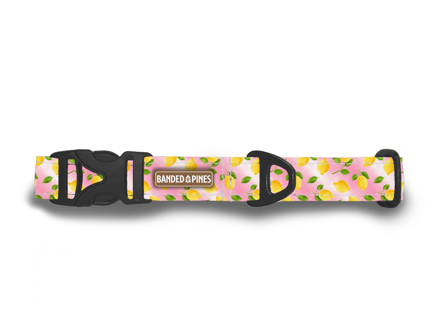 Pink Lemon Splash Dog Collar – Banded Pines