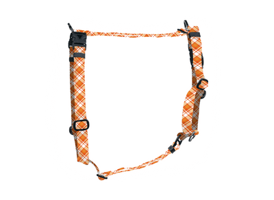Candied Harvest Webbing Harness