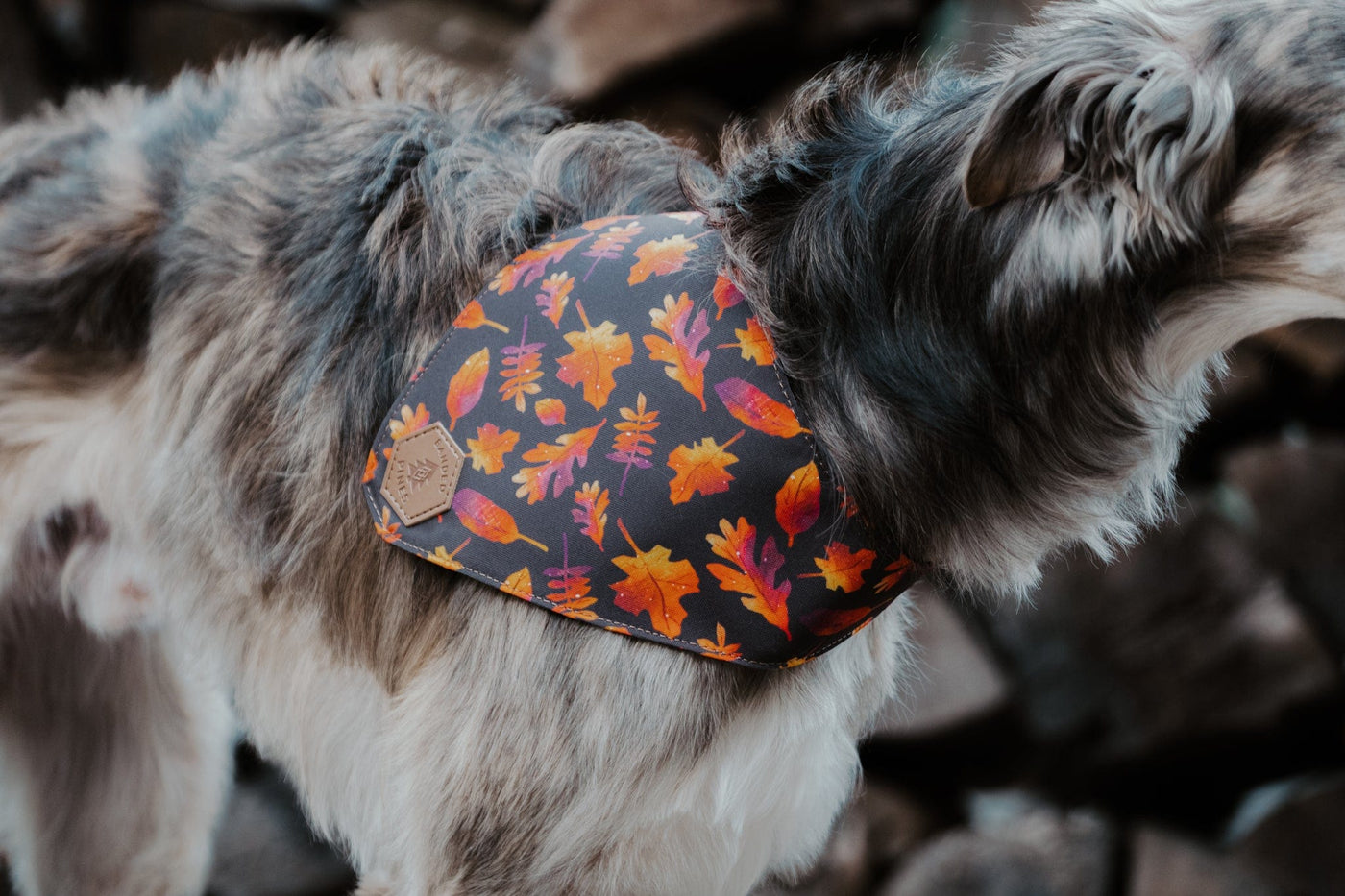 Crisp Autumn Slip-On Dog Bandana