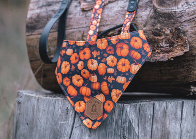 Wander Kit with 5 ft Leash - Pumpkin Patch