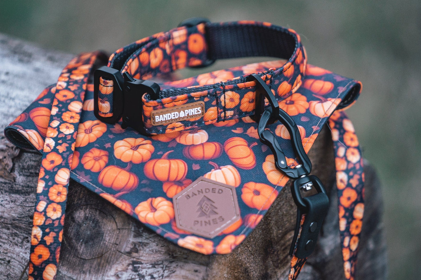Hike Kit with 5 ft leash- Pumpkin Patch