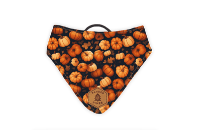Pumpkin Patch Slip-On Dog Bandana