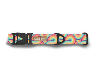 PRIDE Rainbow Swirl Dog Collar