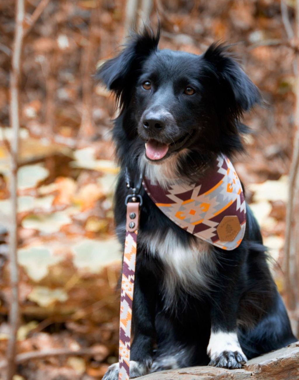 Walk Kit with 5 ft leash- Totem Spice