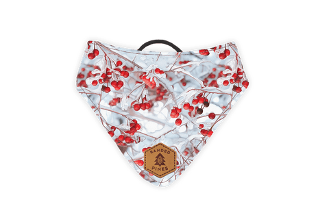 Shattered Cider Slip-On Dog Bandana – Banded Pines