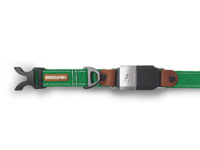 Arbor Green Dog Collar | FI COMPATIBLE - Banded Pines