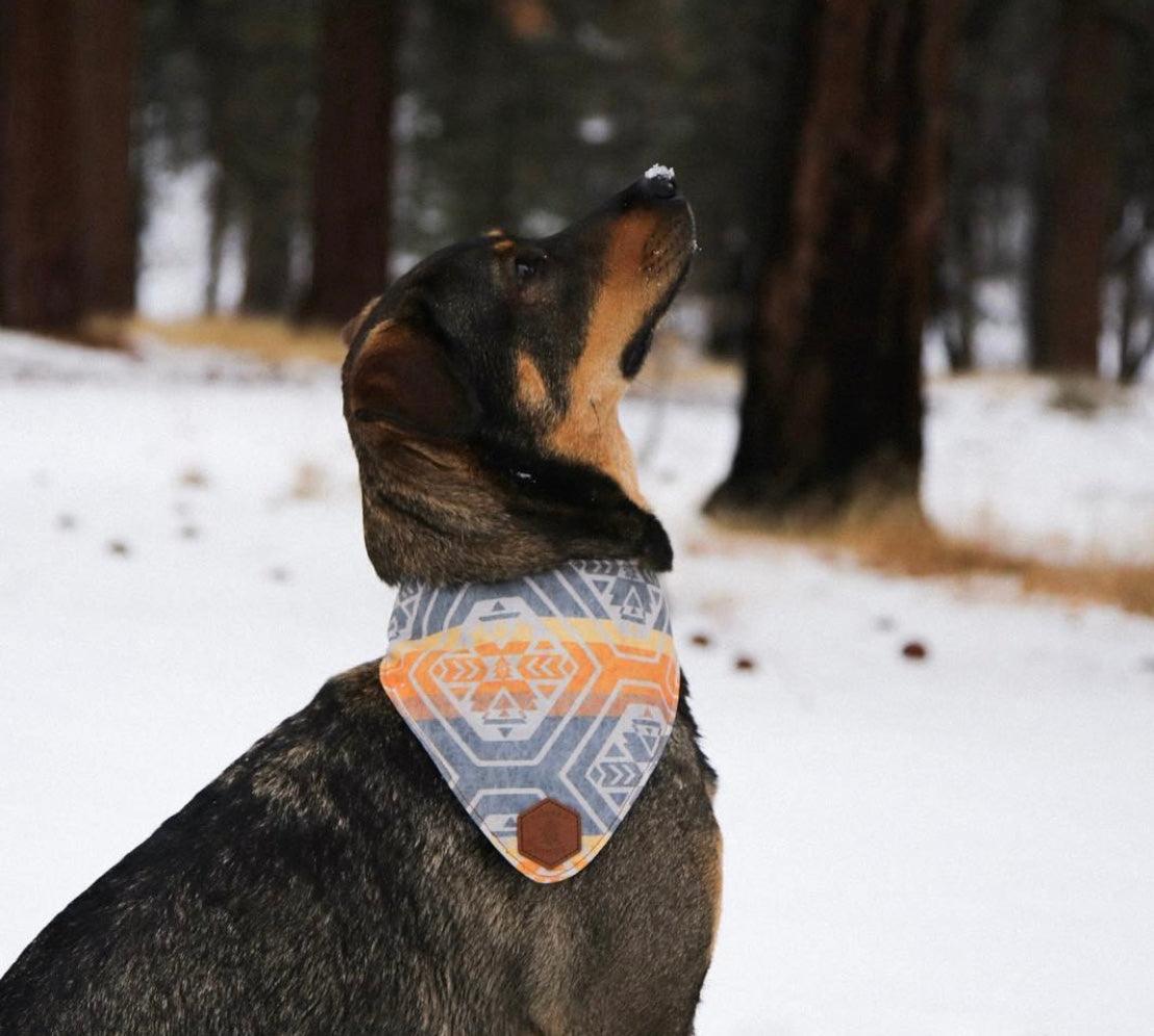 Canary Teton Slip-On Dog Bandana | Water Resistant | Durable - Banded Pines