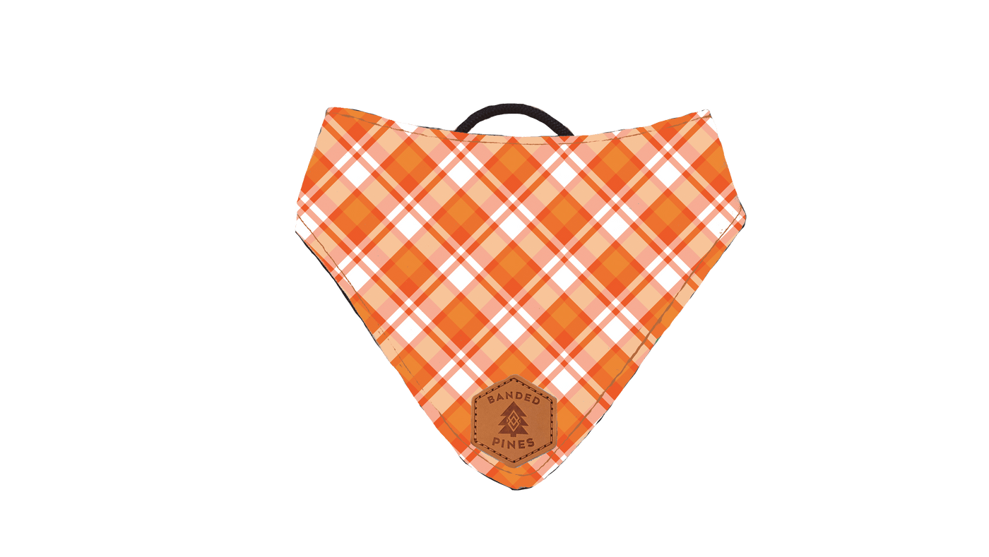 Candied Harvest Slip-On Dog Bandana | Water Resistant | Durable - Banded Pines
