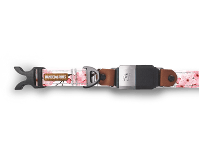 Cherry Blossom Dog Collar - Banded Pines