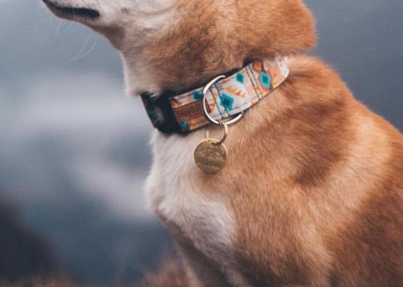 Cheyenne Sky Dog Collar - Banded Pines