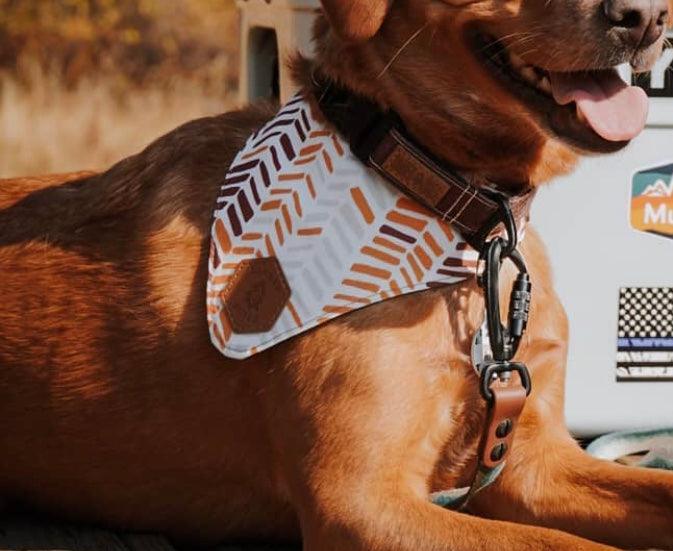 Fletching Slip-On Dog Bandana | Water Resistant | Durable - Banded Pines