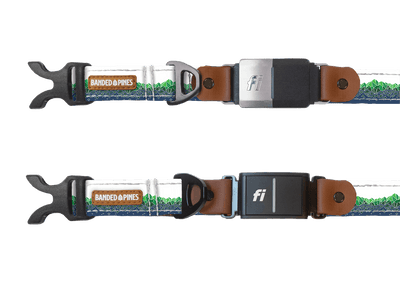 Geo Mountain Emerald Dog Collar - Banded Pines