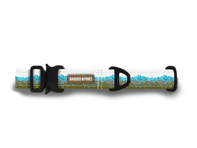 Geo Mountain Turquoise Dog Collar - Banded Pines