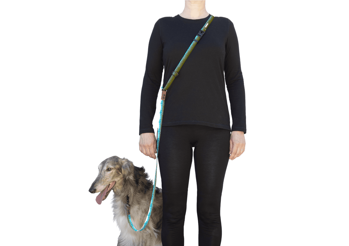 Geo Mountain Turquoise Slip-Lead Dog Leash - Banded Pines