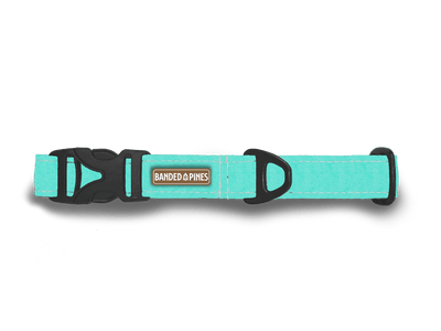 Glacies Mint Dog Collar | FI COMPATIBLE - Banded Pines