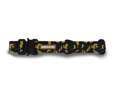 Gold Berries Dog Collar - Banded Pines