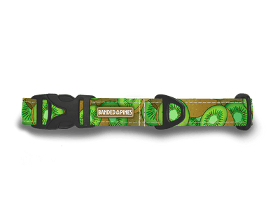 Kiwi Fruit Dog Collar | FI COMPATIBLE - Banded Pines