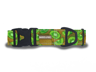 Kiwi Fruit Dog Collar | FI COMPATIBLE - Banded Pines