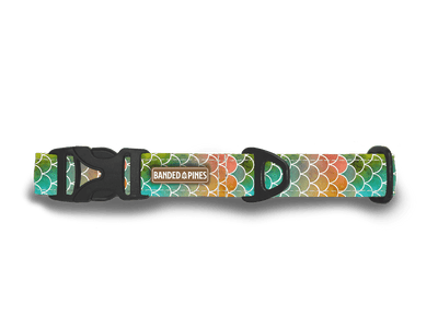Marine Scales Dog Collar | FI COMPATIBLE - Banded Pines