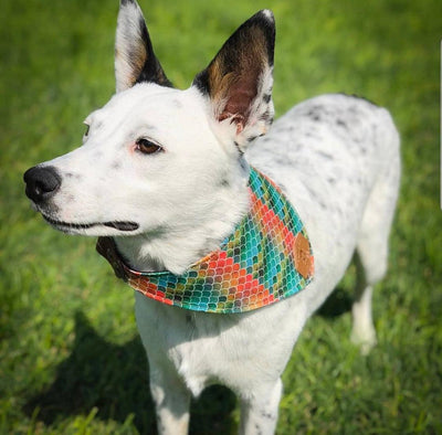 Marine Scales Slip-On Dog Bandana | Water Resistant | Durable - Banded Pines