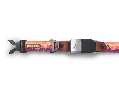 National Parks Arches Dog Collar - Banded Pines