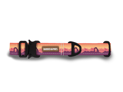 National Parks Arches Dog Collar - Banded Pines