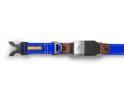 Oceanum Blue Dog Collar | FI COMPATIBLE - Banded Pines