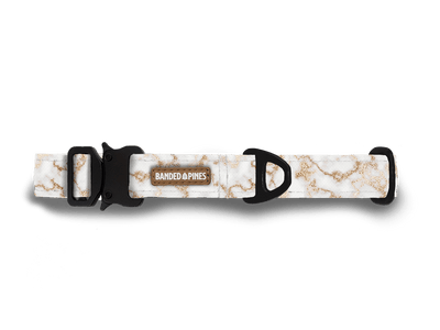 Peaceful Snow Dog Collar - Banded Pines