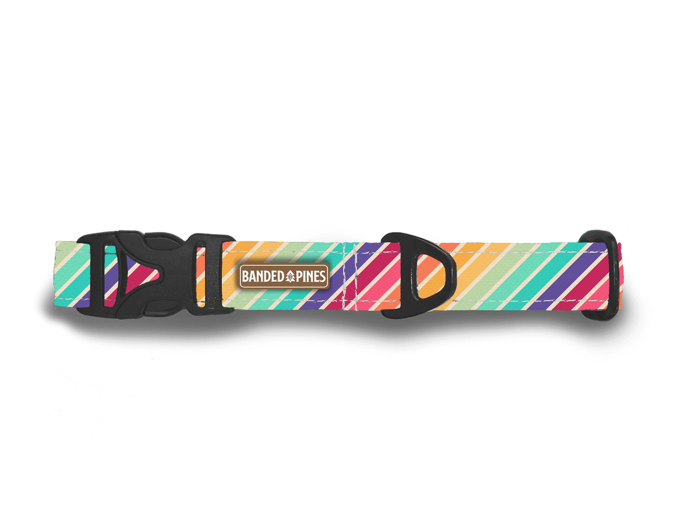 PRIDE Rainbow Stripe Dog Collar - Banded Pines