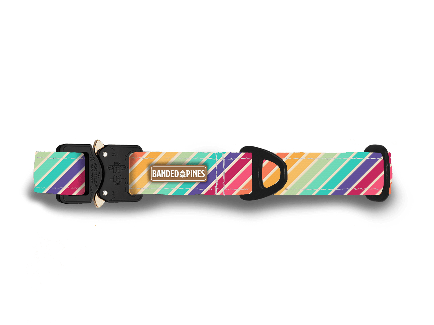 PRIDE Rainbow Stripe Dog Collar - Banded Pines