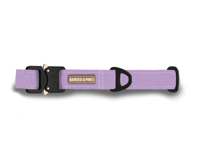 Purpura Lavender Dog Collar | FI COMPATIBLE - Banded Pines