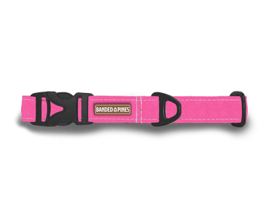 Rosea Pink Dog Collar | FI COMPATIBLE - Banded Pines