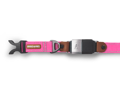 Rosea Pink Dog Collar | FI COMPATIBLE - Banded Pines