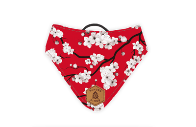 Sakura RED Slip-On Dog Bandana | Water Resistant | Durable - Banded Pines