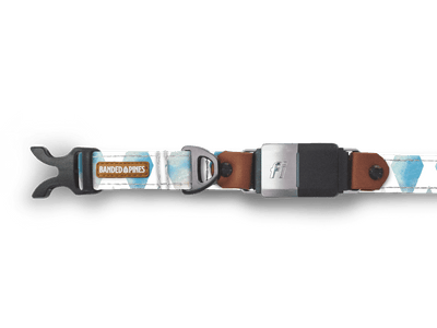 Salty Waves Dog Collar - Banded Pines