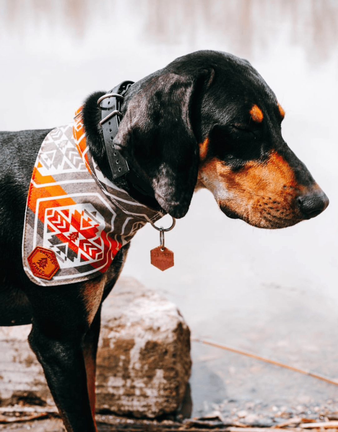 Scarlet Teton Dog Collar - Banded Pines