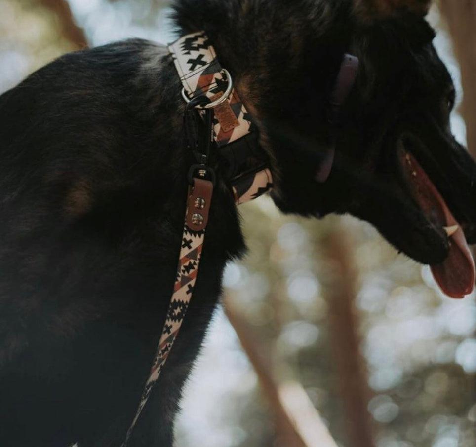 Sierra Morena Dog Collar - Banded Pines