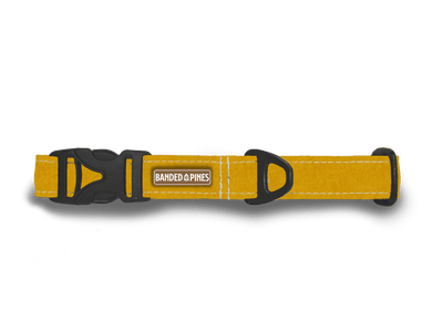 Solis Mustard Dog Collar | FI COMPATIBLE - Banded Pines