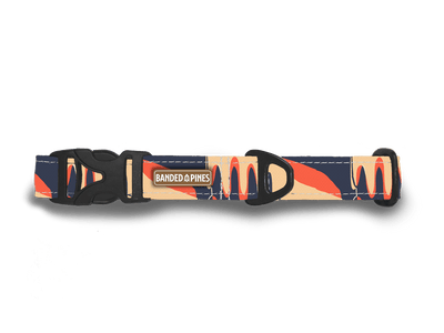 Sunset Dunes Dog Collar - Banded Pines