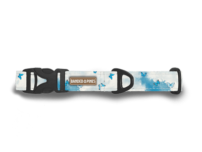 Swallowtail Skies Dog Collar | FI COMPATIBLE - Banded Pines